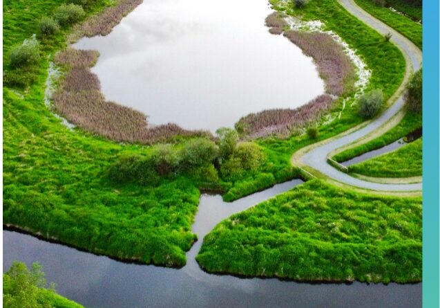 Retention basin and drainage network managed with stormwater compliance solutions.